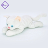 Plush Cat