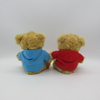 Plush Bear with T-shirt