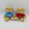 Plush Bear with T-shirt