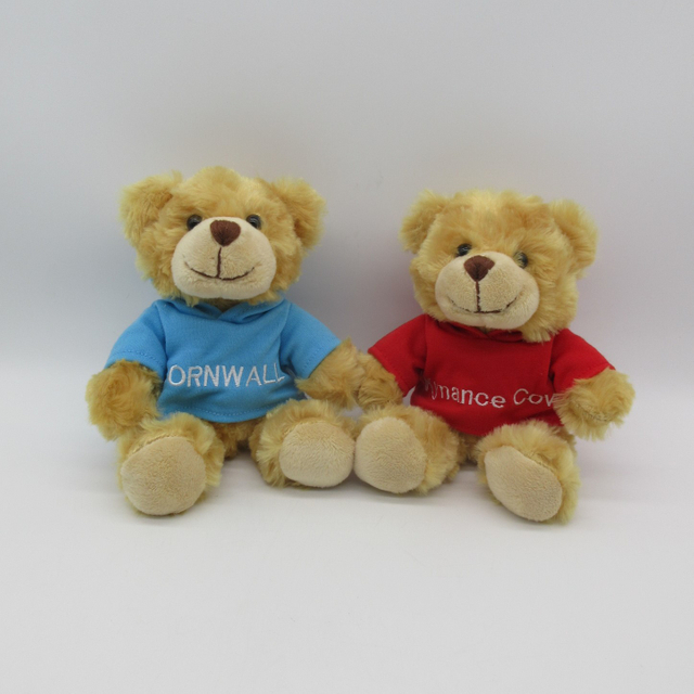 Plush Bear with T-shirt