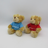 Plush Bear with T-shirt