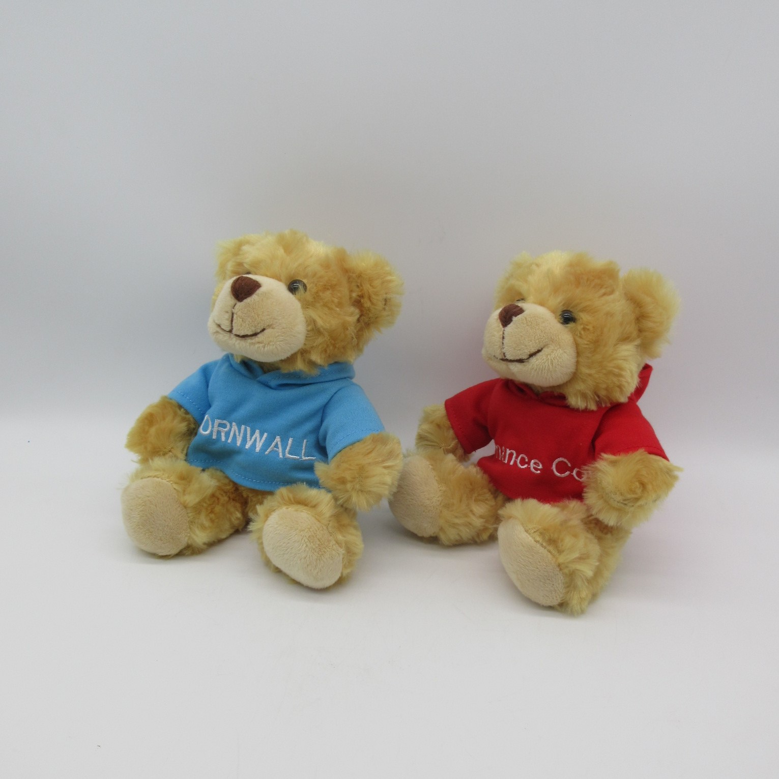 Plush Bear with T-shirt